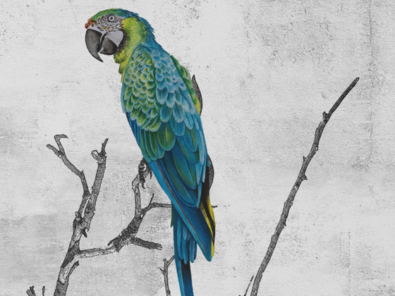 Ткань для штор ABITEX AIDA ST05 TOKYO SPICE