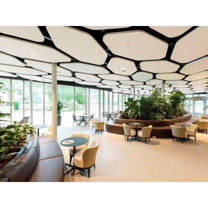 Самонесущие звукоизолирующие подвесные потолки Saint-Gobain ECOPHON Ecophon Solo™ Freedom