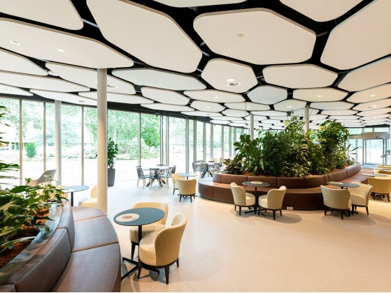 Самонесущие звукоизолирующие подвесные потолки Saint-Gobain ECOPHON Ecophon Solo™ Freedom