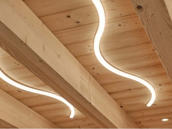 Потолочные светильники Brillamenti ESSE