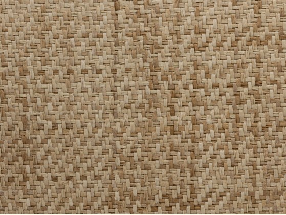 Ткани для стен NATURTEX A-2993