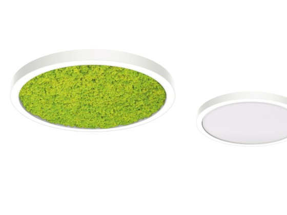 Потолочные светильники Intra lighting ACOUSTO ROUND C