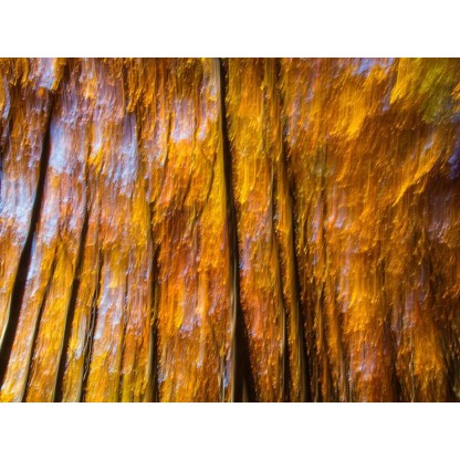 Фотографии Alidem FIAMME D'AUTUNNO