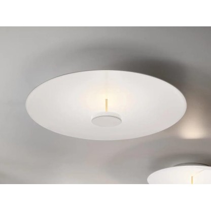 Потолочные светильники Olev OVERFLY PLUS PL