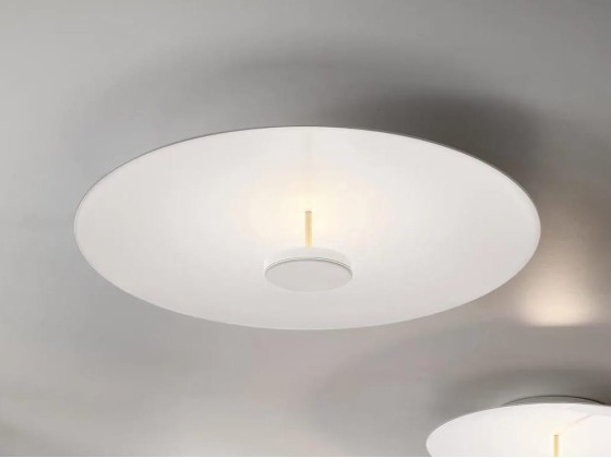 Потолочные светильники Olev OVERFLY PLUS PL