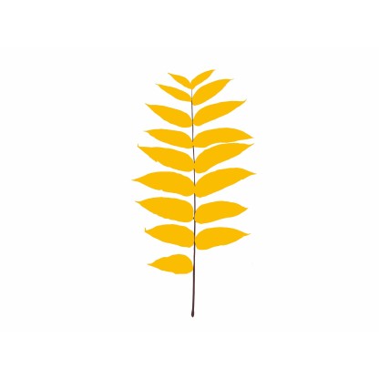 Трафаретный декор Magis LEAVES JUGLANS NIGRA