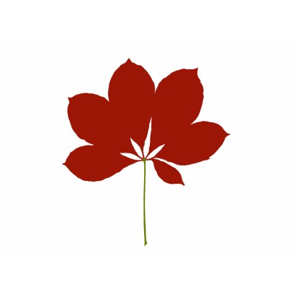 Трафаретный декор Magis LEAVES CHESTNUT