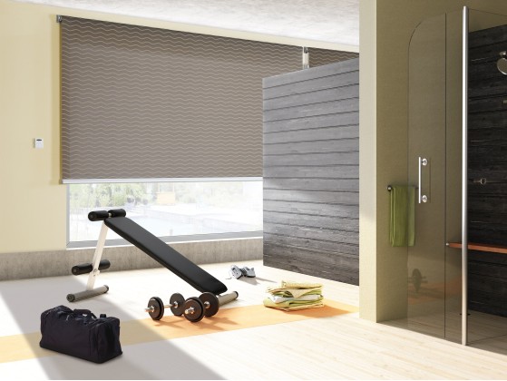 Рулонные шторы Mottura ENERGY 450