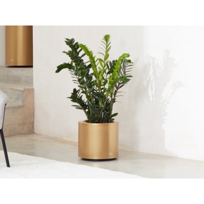 Ваза Hobby Flower KAVA