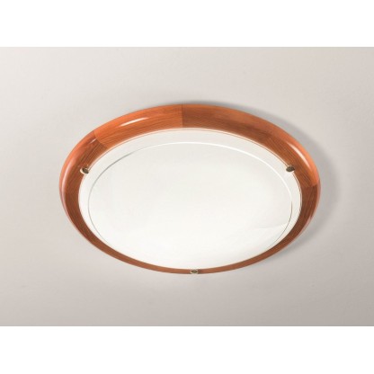 Потолочный светильник Fan Europe Lighting 