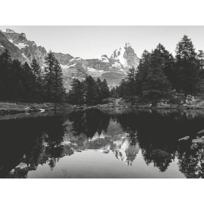 Акустические стеновые панели MOMENTI AN-006