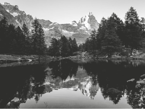 Акустические стеновые панели MOMENTI AN-006