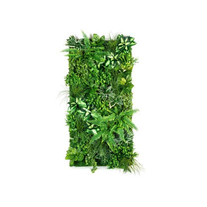 Рама с декоративными растениями VGnewtrend MOLOKAI