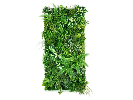 Рама с декоративными растениями VGnewtrend MOLOKAI