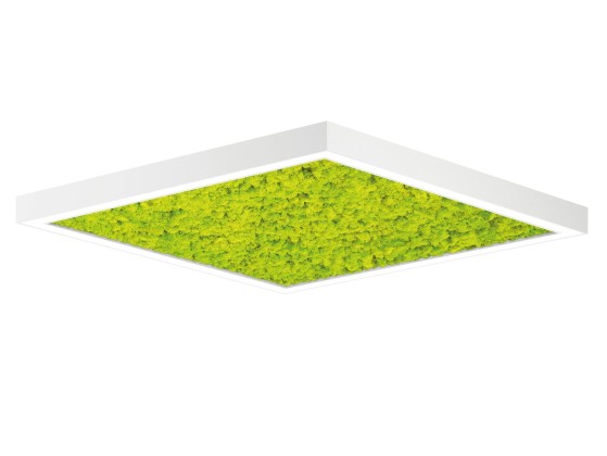 Потолочные светильники Intra lighting ACOUSTO SQUARE C