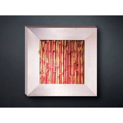 Рамы с декоративными растениями VGnewtrend BAMBOO
