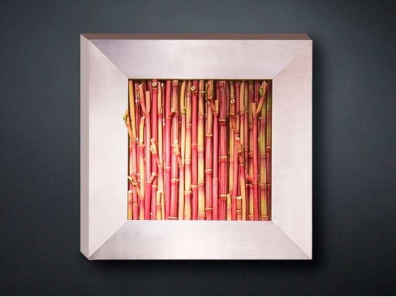 Рамы с декоративными растениями VGnewtrend BAMBOO