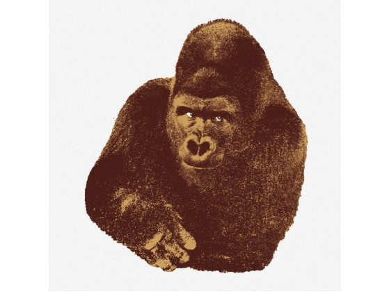 Трафаретный декор Danese Milano QUINDICI, IL GORILLA