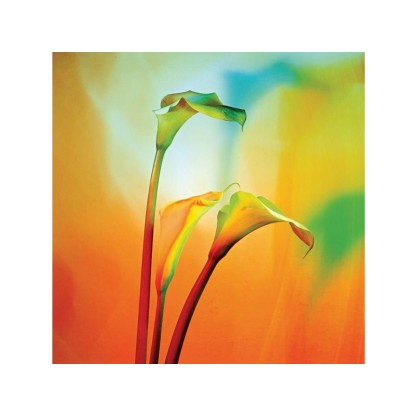 Фотографии Alidem TRE CALLE