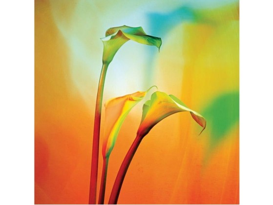 Фотографии Alidem TRE CALLE