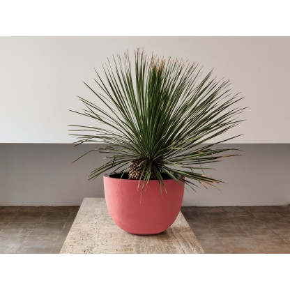 Кашпо уличное DOMANI AXEL