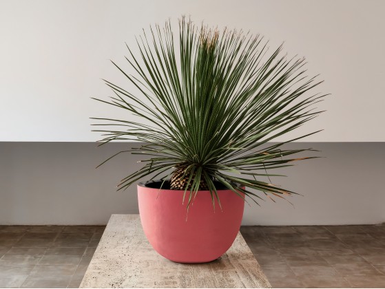 Кашпо уличное DOMANI AXEL