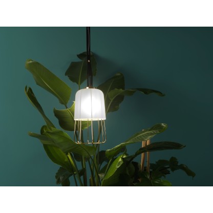 Подвесные светильники ZAVA MED