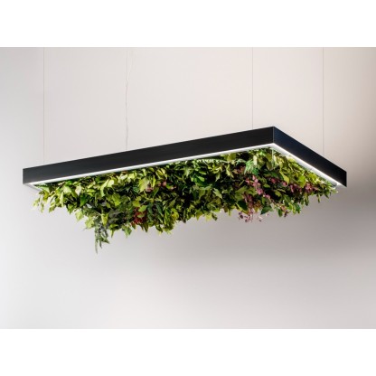 Подвесные светильники Olev MEETING SILENCE LEAF