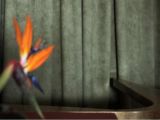 Ткани для стен ALCANTARA ALCANTARA® Bord FR 5056