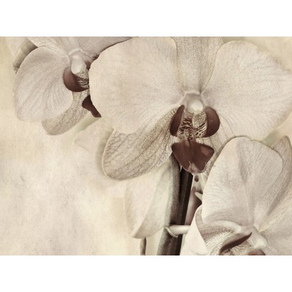 Картина MOMENTI 63