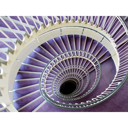 Фотографии Alidem DEEP PURPLE