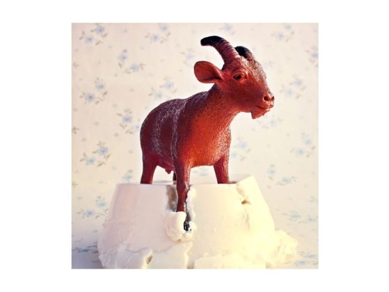 Фотографии Alidem RITRATTI INDUSTRIALI #4