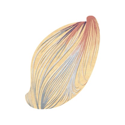 Ковер Tapis Rouge Distribution LASER VENUS