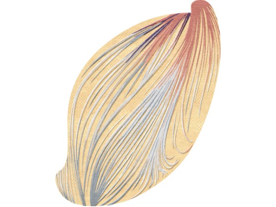 Ковер Tapis Rouge Distribution LASER VENUS