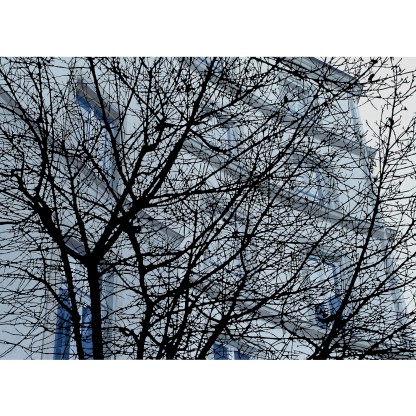 Плакат ARTDESIGNBOX MEDOC SUITE 2