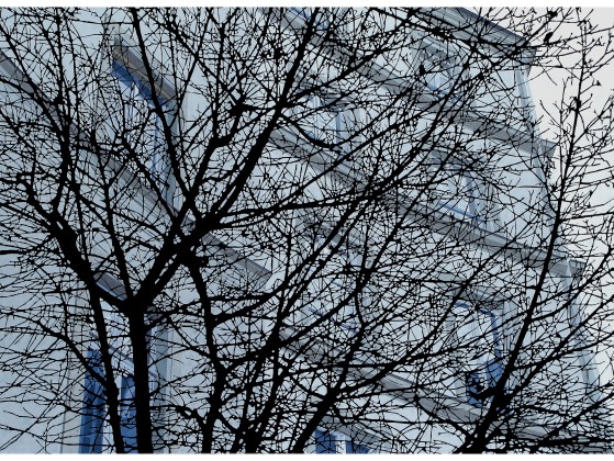 Плакат ARTDESIGNBOX MEDOC SUITE 2