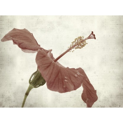 Картина MOMENTI 62