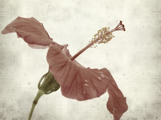 Картина MOMENTI 62