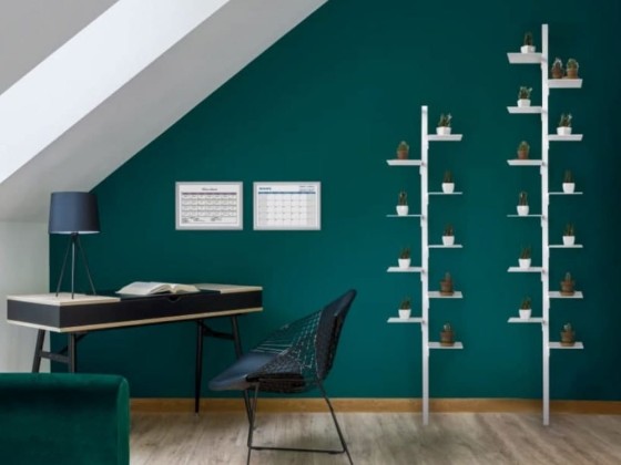 Книжный шкаф STUDIO T MR GREEN