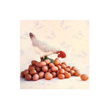 Фотографии Alidem RITRATTI INDUSTRIALI #1