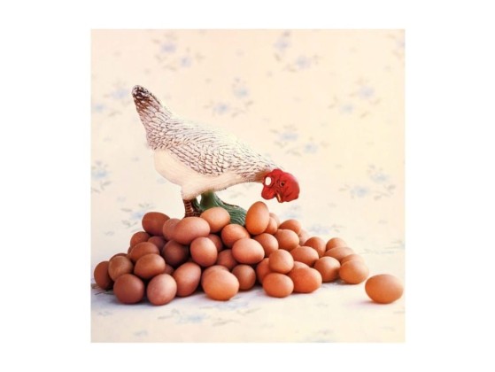 Фотографии Alidem RITRATTI INDUSTRIALI #1