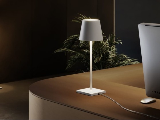 Уличная настольная лампа Zafferano POLDINA230V L DESK