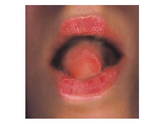 Садовый коврик HENZEL STUDIO AUTO PORTRAIT ORAL