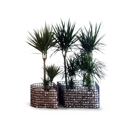 Ваза Cobermaster Concept DIAMOND