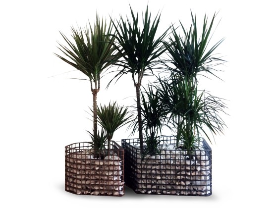 Ваза Cobermaster Concept DIAMOND