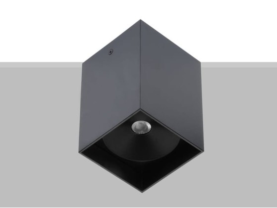 Потолочные светильники Flexalighting ARIK RGB