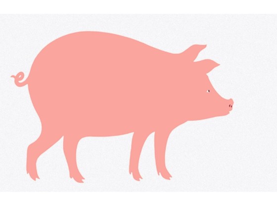 Трафаретный декор Danese Milano DICIOTTO, IL PORCELLO