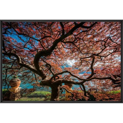 Фотографии YellowKorner CITIES