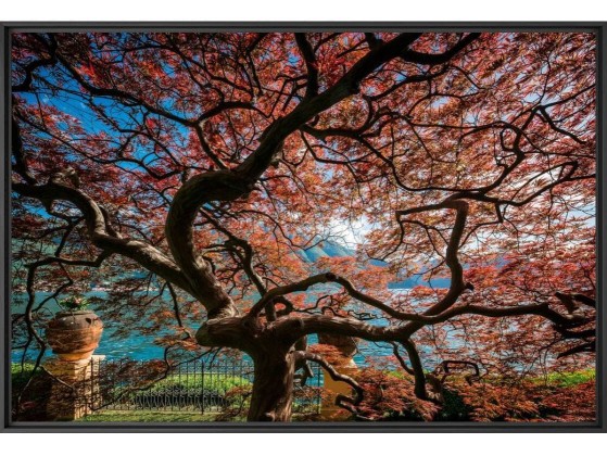 Фотографии YellowKorner CITIES