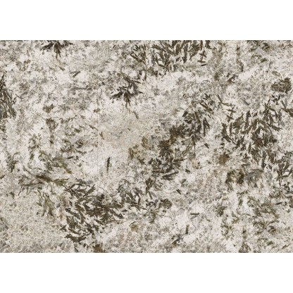 Frozen Fox 120x260 Polished (6 мм)